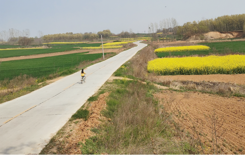 駐馬店市驛城區(qū)2017年農(nóng)村公路、橋梁項目2標(biāo)段